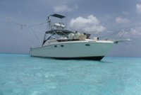 Fish and dive in Cozumel